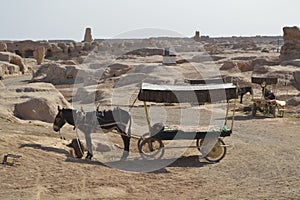 Carriages in Gaochang photo