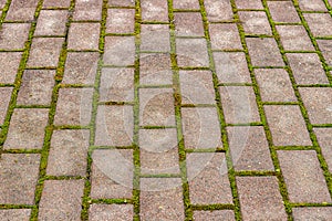 The carriageway of the street is made of stone