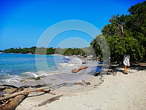 Carribean beach with floatwood and girl