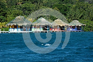Carribean huts