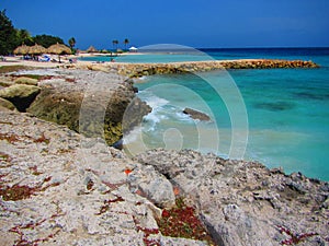 Carribean sea beach landscape