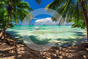 Carribean sea, beautiful panoramic view