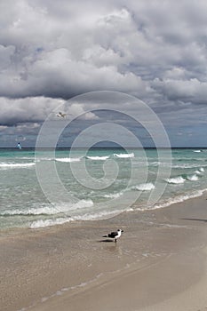 Carribean sea landscape