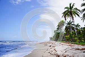 The Carribean Sea and one of its beautiful beaches on Isla Grande, Rosario Archipelago