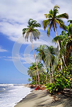 The Carribean Sea and one of its beautiful beaches on Isla Grande, Rosario Archipelago