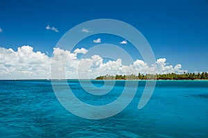 Carribean sea and palm trees on the tropical beach