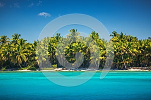 Carribean sea and tropical island in Dominican Republic, panoramic view