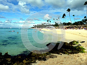 Carribian beach coastline paradise in dominican republic background