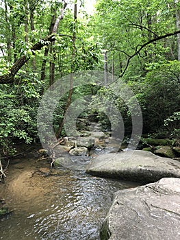 Carrick Creek Trail at Table Rock State Park