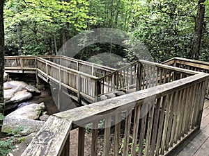 Carrick Creek Trail at Table Rock State Park