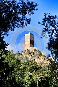 Carricola vigia tower surrounded by native vegetation photo