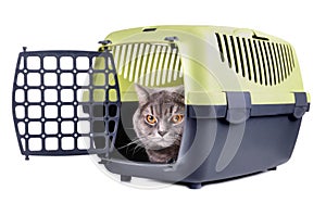 Carrier box with cat