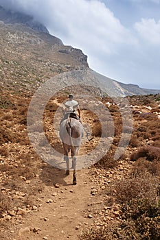 Carrier donkey and a man in a pathway. Crete. Greece