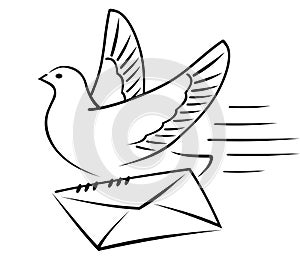 Carrier-pigeon with letter. photo