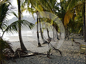 Carrillo Beach Costa Rica