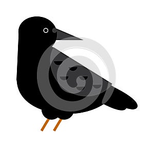 Carrion crow raven with wide-spread wings black beak nature feather wild dark bird vector.