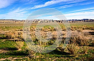 Carrizo Plain National Monument