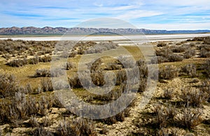 Carrizo Plain National Monument