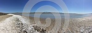 Carrizo Plains National Monument Panoramic, California - Soda Lake with water, mud and salt