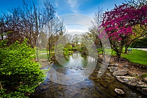 Carroll Creek at Baker Park, in Frederick, Maryland.