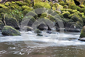 Carron Glen Wildlife Reserve, Scotland, UK