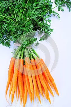 Carrot