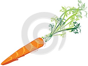 Carrot