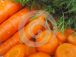 Carrot