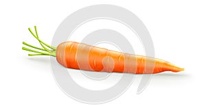 Carrot