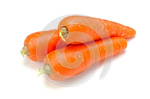 Carrot photo