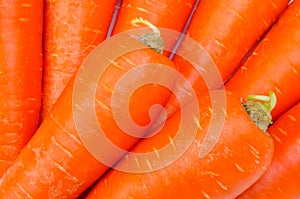 Carrot photo