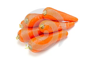 Carrot photo