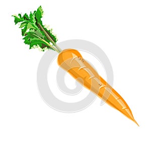 carrot photo
