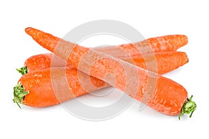 Carrot