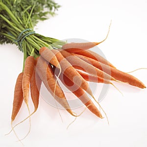 Carrot, aucus carota, Vegetables against White Background