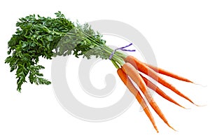 Carrot Bunch