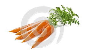 Carrot bunch isolated on white background