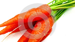 Carrot carota stock photo