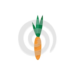 Carrot. Carrot on a white background. Natural product. Vector illustration. EPS 10.