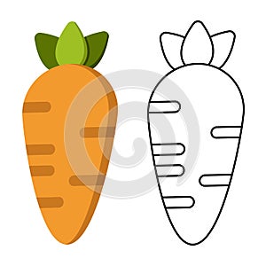 Carrot coloring book. Juicy and sweet carrot. Educational game for kids. Fruits and vegetables. Coloring book for kids.