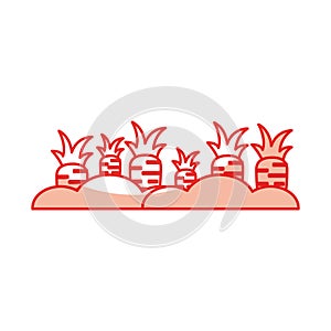 Carrot cultivation isolated icon