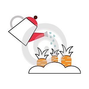 Carrot cultivation isolated icon