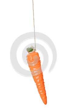 Carrot dangling on a string photo