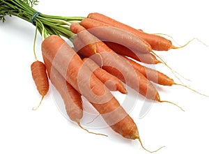 Carrot, daucus carota, Vegetable against White Background