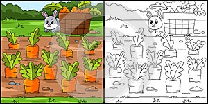 Carrot Field Coloring Page Colored Illustration