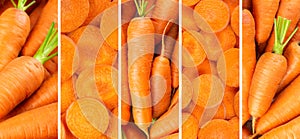 Carrot. Fresh carrot. Fresh ripe vegetables. Background