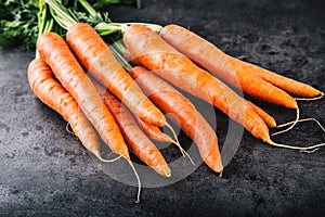 Carrot. Fresh Carrots bunch. Baby carrots. Raw fresh organic orange carrots. Healthy vegan vegetable food. Fresh Vegetable