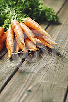 Carrot. Fresh Carrots bunch on rustic background. Raw fresh organic orange carrots.