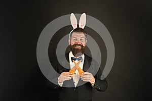 Carrot is always good idea. Easter rabbit black background. Bearded man hold carrots. Happy businessman wear rabbit ears