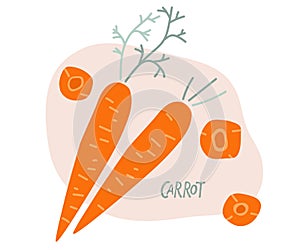 Carrot hand drawn doodle sketch. Farmer Market Logo. Vegetable Ingredient, Orange root plant. Organic food eco template